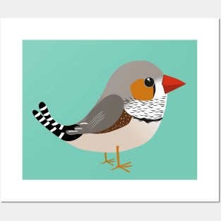 Zebra finch vector Posters and Art